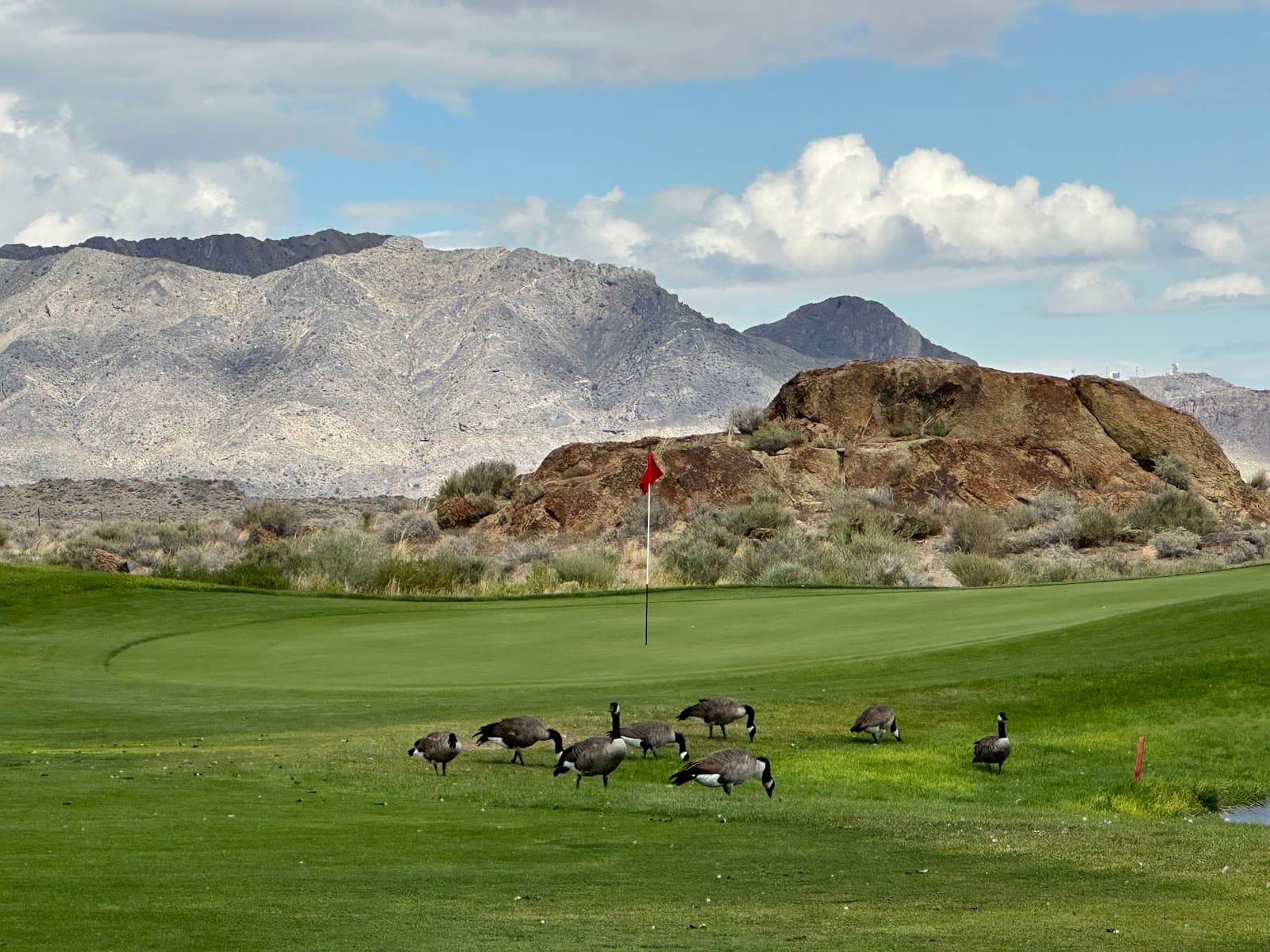 Toana Vista Golf Course — Wendover Senior Casino Open Golf Tournament