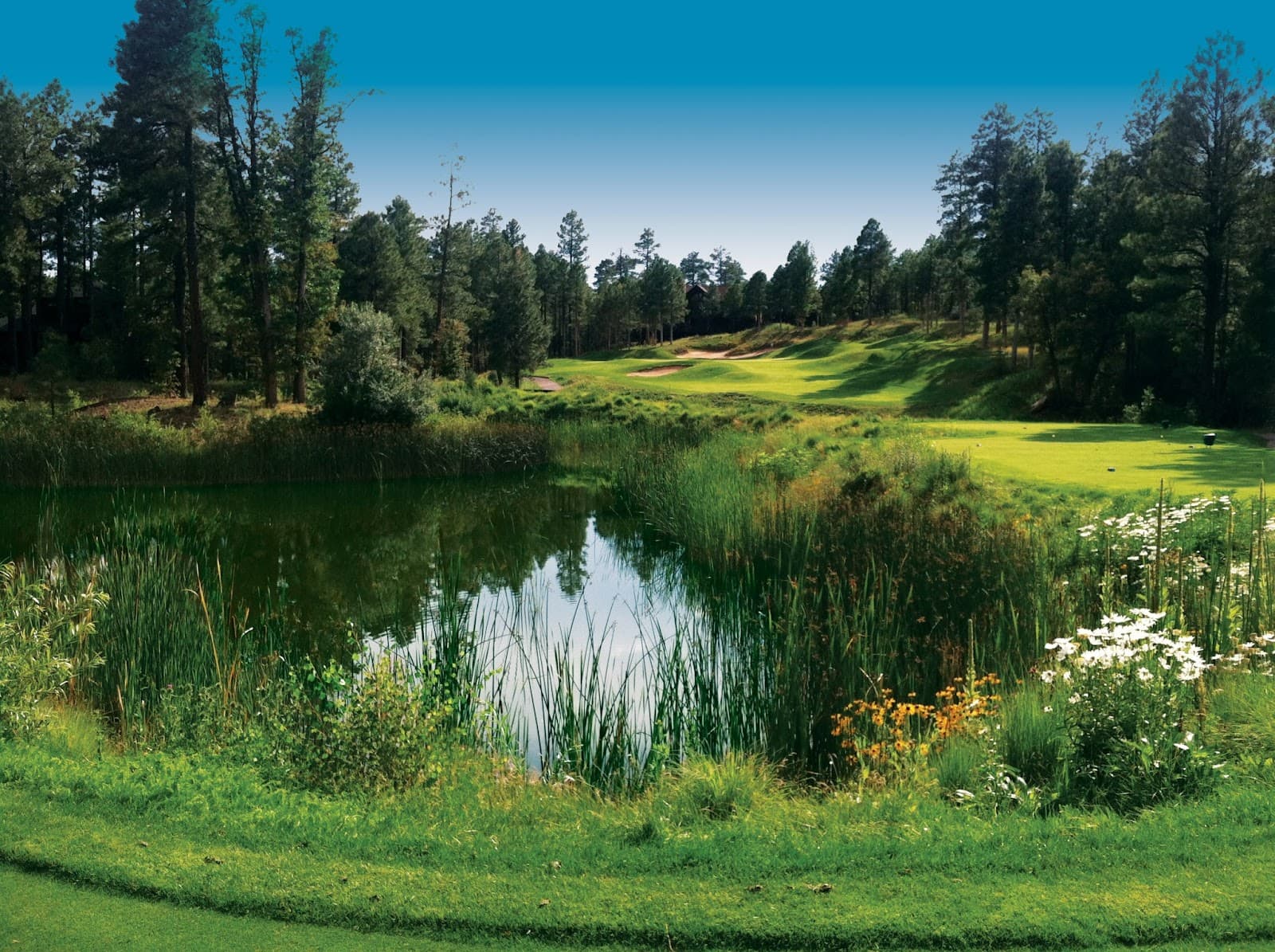 Torreon Golf Club - Tower Course — Arizona Women's Partners Tournament