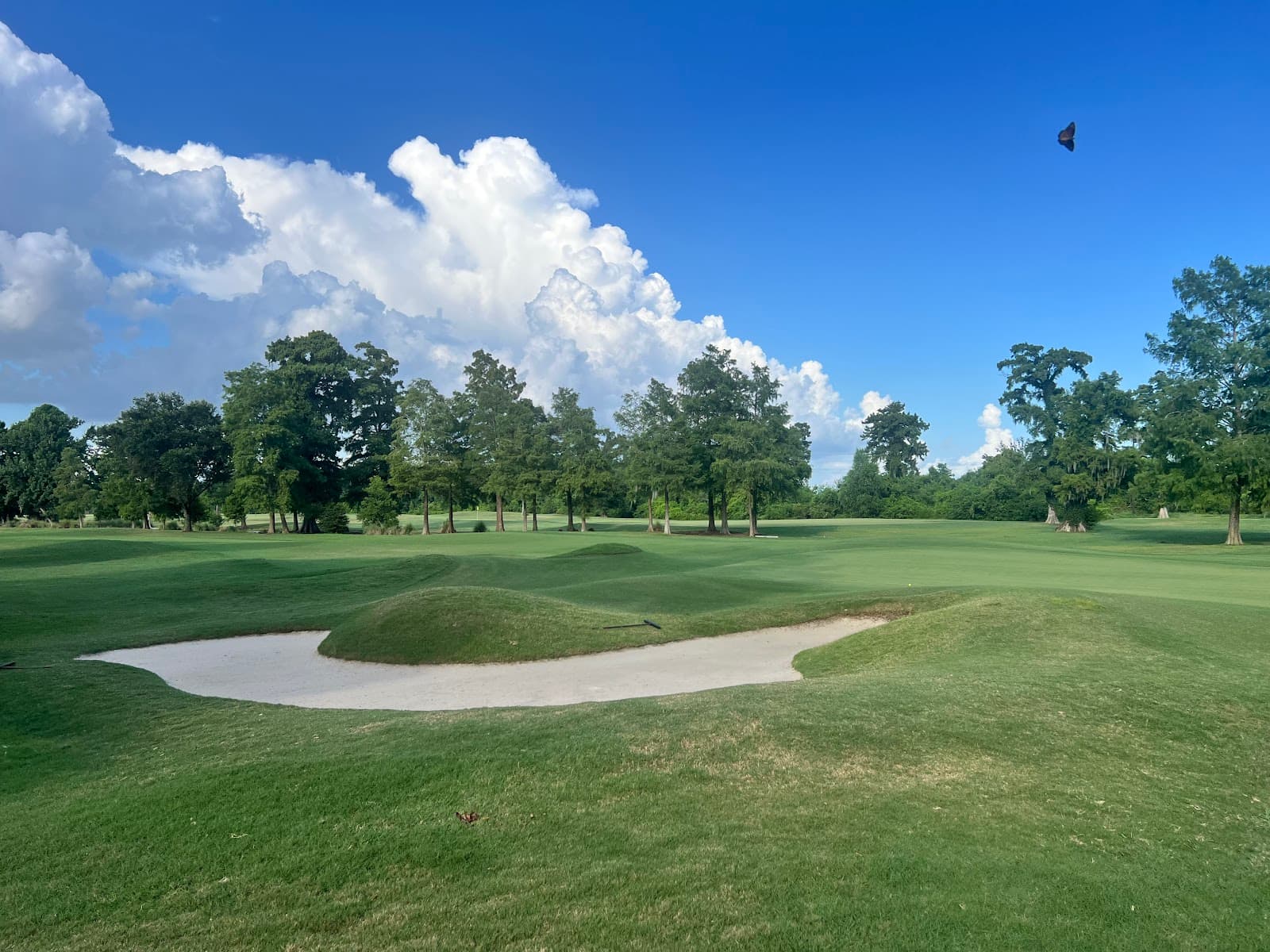 Tpc Louisiana — Fall Tulane Classic