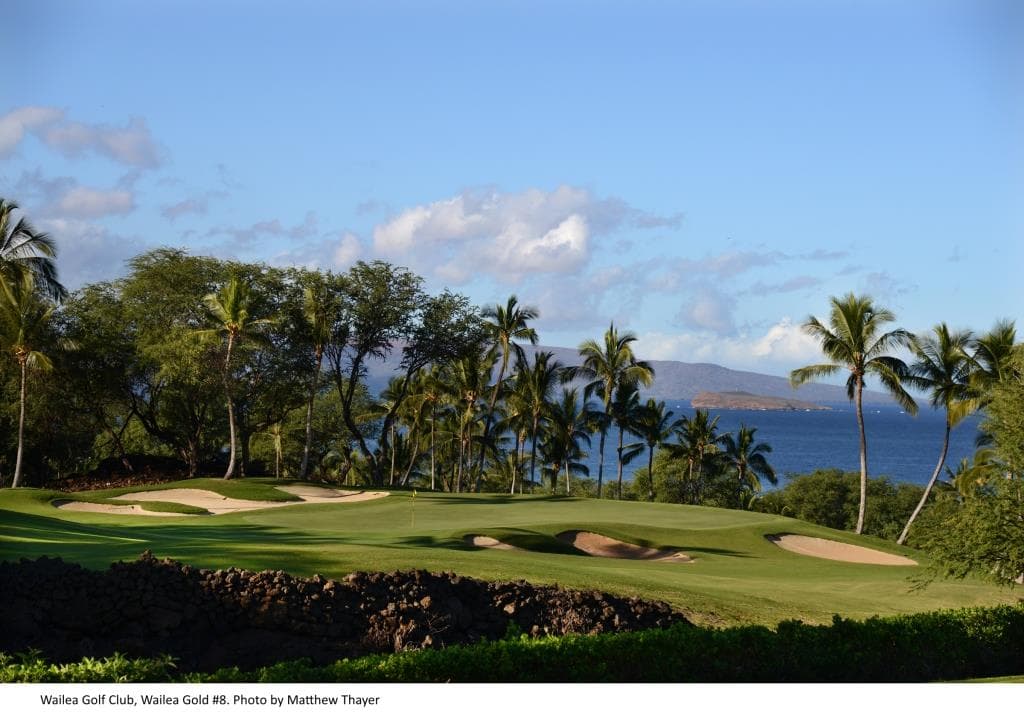 Wailea Golf Club - Gold Course — Maui Amateur Championship