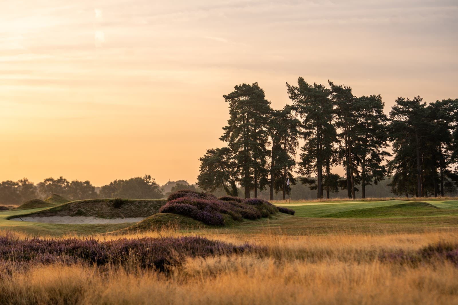 Walton Heath Golf Club — Walton Heath Trophy