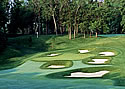 NCR Country Club - South Course