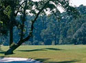 Champions Golf Club - Jackrabbit Course