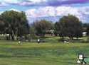 Blackfoot Golf Course