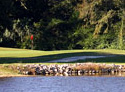 Beaver Creek Golf Club