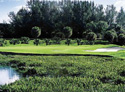 PGA National Golf Club - Palmer Course