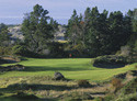 Bandon Dunes Golf Resort - Bandon Trails