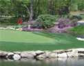 New Hampshire Open Championship