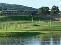 Empire Ranch Golf Club