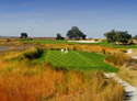 Sea Island Golf Club - Seaside Course