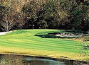 University of South Florida Golf Course