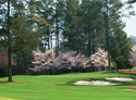 The Golf Club of Georgia - Creekside Course