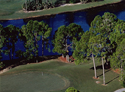 Plantation Bay Golf & Country Club