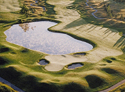 Grand Traverse Resort and Spa - The Bear Course