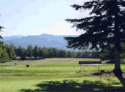 Moose Run Golf Course - Hill Course