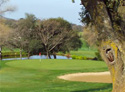 Auburn Valley Golf Course