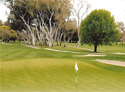 Stockton Golf & Country Club