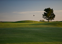 Ratliff Ranch Golf Links