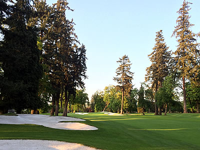 There are trees, and then there are the monsters<br>that line the fairways of Eugene C.C. (AGC photo)