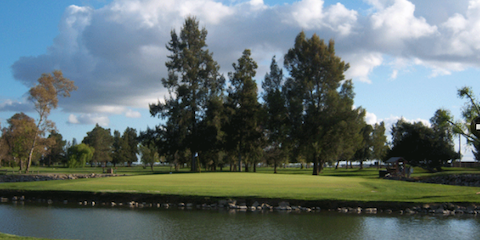 No. 7 green at Davis Golf Course <br>(Davis Golf Course Photo)