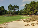 Pinehurst Resort and Country Club - Course 2