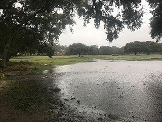 The 2nd hole at the CC of Charleston