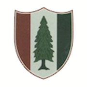 The Pine Valley logo