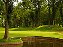 Minnesota Senior Four-Ball Championship