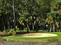 Moss Creek Golf Club - South Course