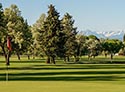 Black Canyon Golf Club At Montrose