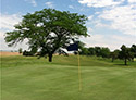 Jackrabbit Run Golf Course