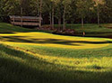 Magnolia Grove Golf Club - Crossings Course
