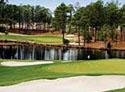 Forest Creek Golf Club - South Course
