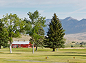 White Pine Golf Course